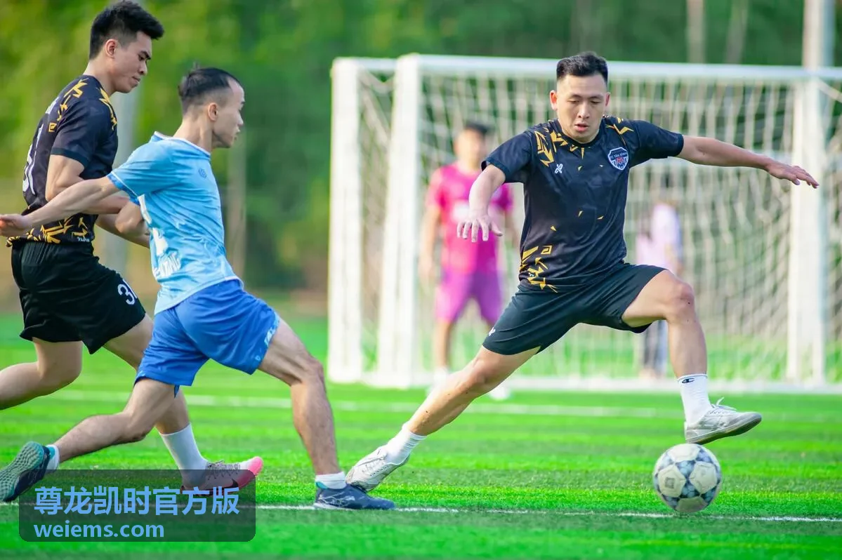 尊龙凯时官方版等级成长条目封面