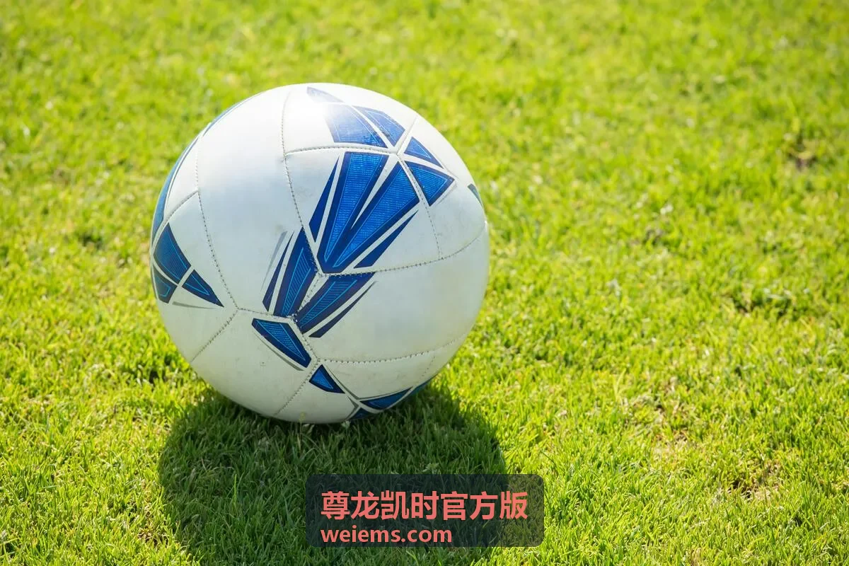 尊龙凯时官方版会员权益解读通道封面