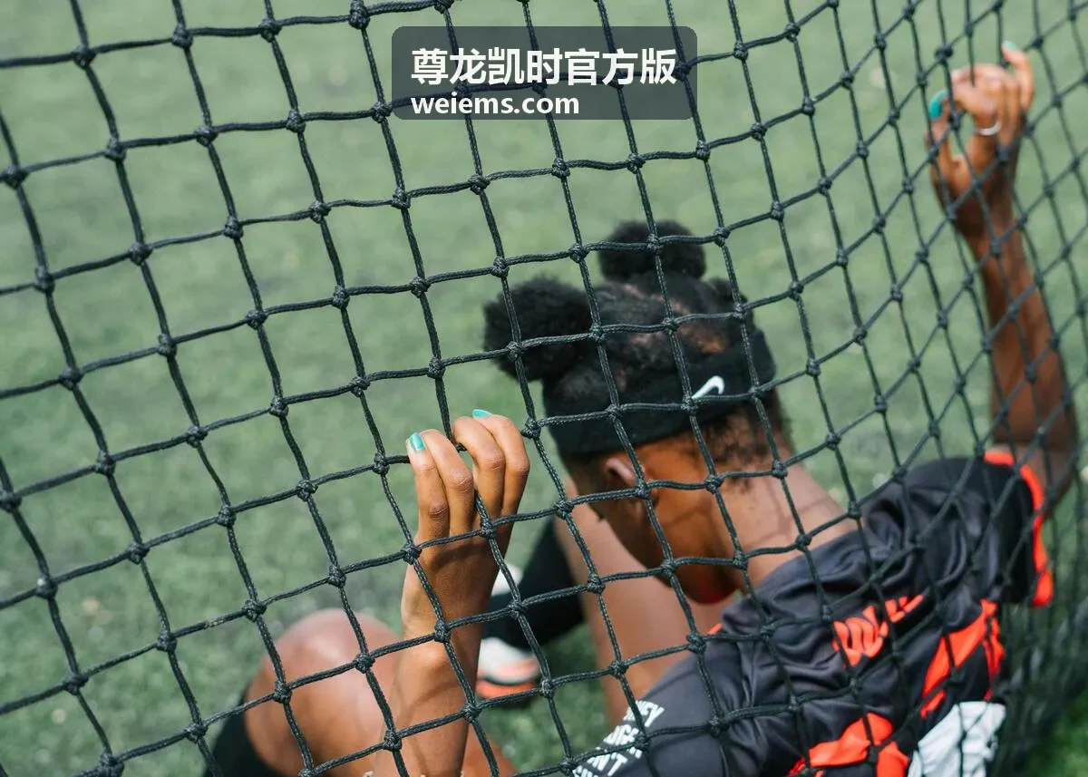 尊龙凯时官方版往期回顾通道封面